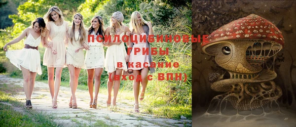 скорость Ладушкин