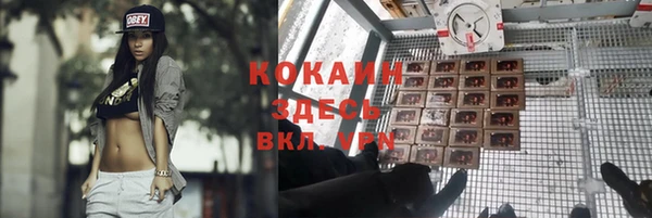 скорость Ладушкин