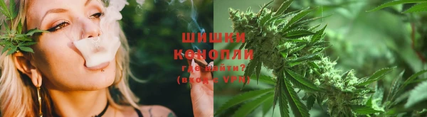 скорость Ладушкин