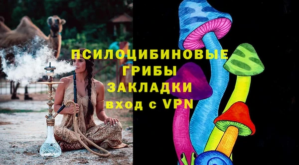дурь Лагань