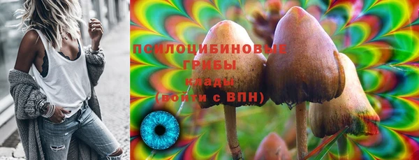 дурь Лагань