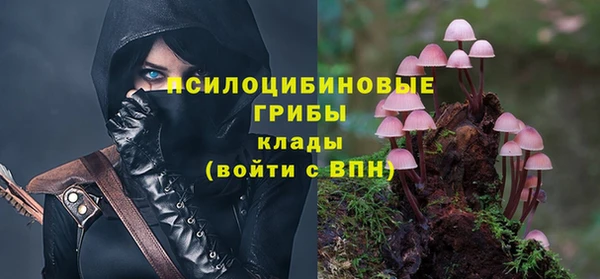 дурь Лагань