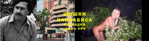 дурь Лагань