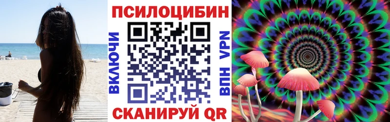kraken ссылки Магас Псилоцибиновые грибы Psilocybe